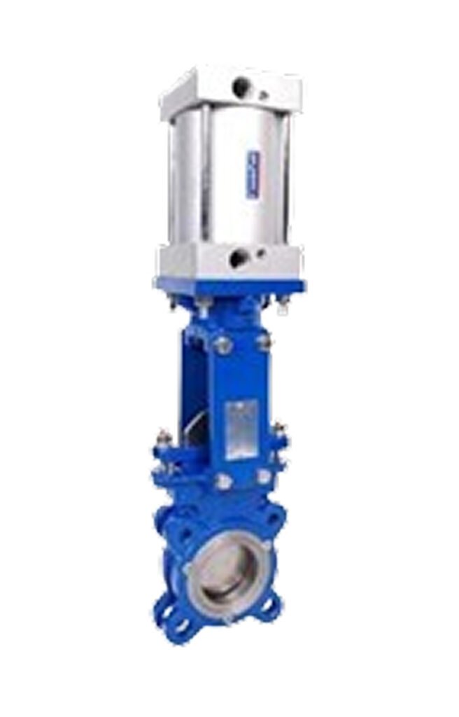 Pneumatic Valve